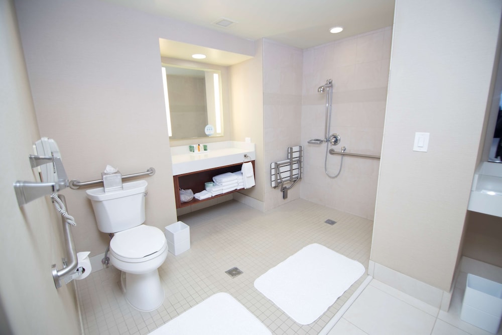 Executive Suite, 1 King Bed, Accessible, Non Smoking (Roll-In Shower)