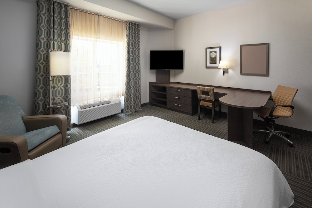 Studio Suite, 1 Queen Bed - Photo 1