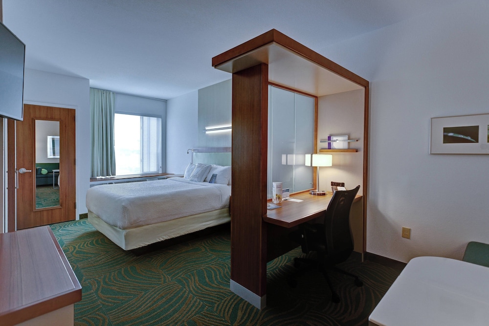 Suite, 1 King Bed with Sofa bed photo 1