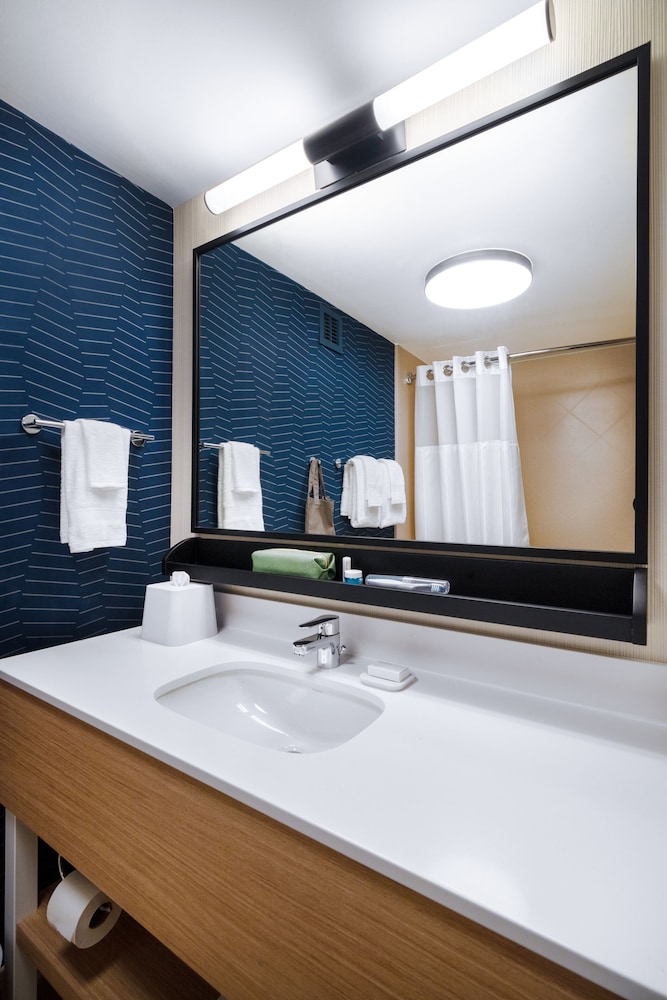 Room, 1 King Bed, Accessible (Roll-In Shower) - Photo 10