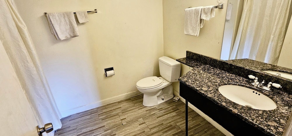 Comfort Single Room, Courtyard View