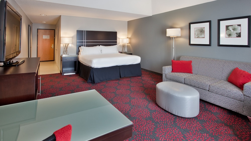 Suite, 1 King Bed with Sofa bed photo 1