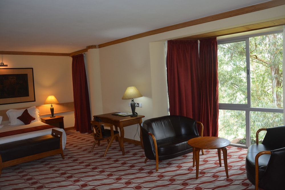 Deluxe Single Room photo 3