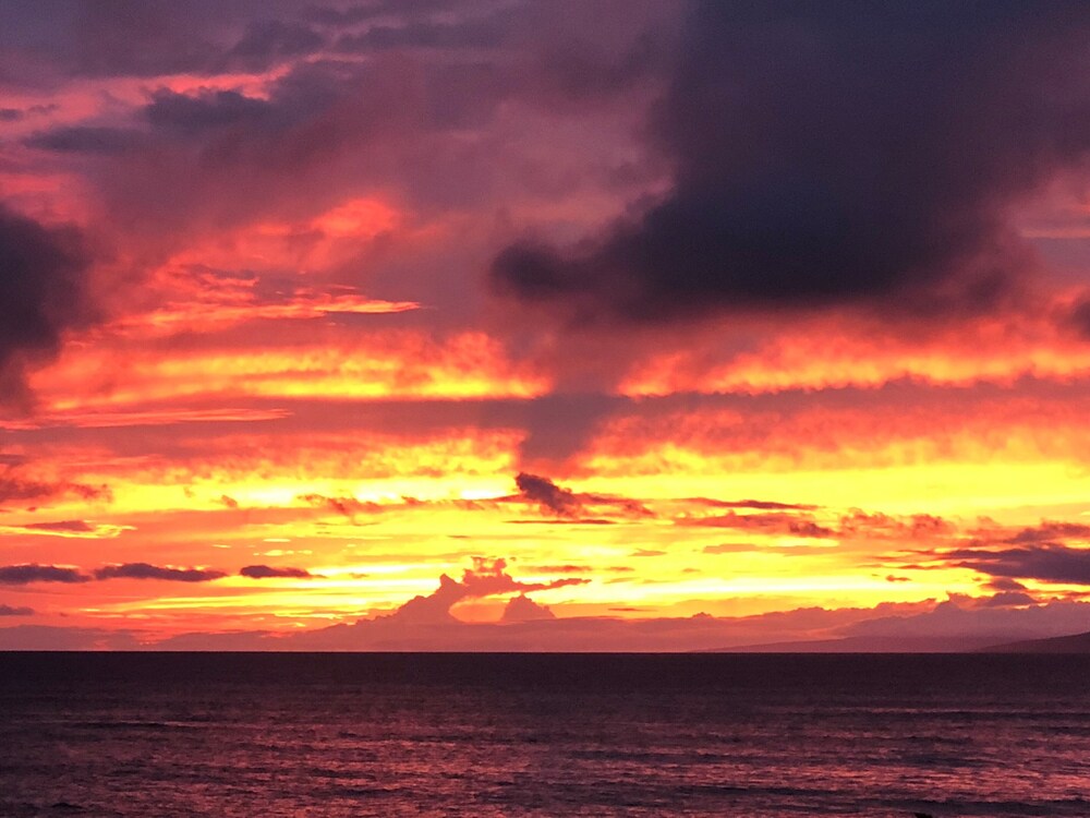 Beach Cottage, 2 King Beds, Full Kitchen, Private Bathroom, Ocean View, Non Smoking photo 2