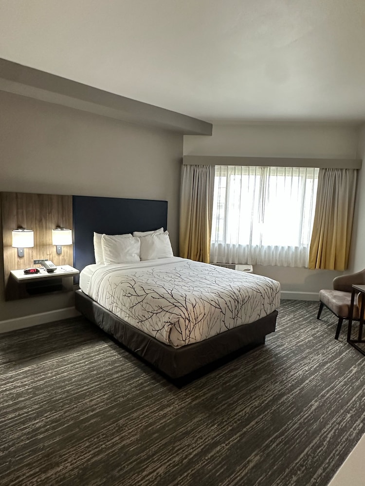 Standard Room, 1 King Bed, Non Smoking, Balcony (Shower Only)