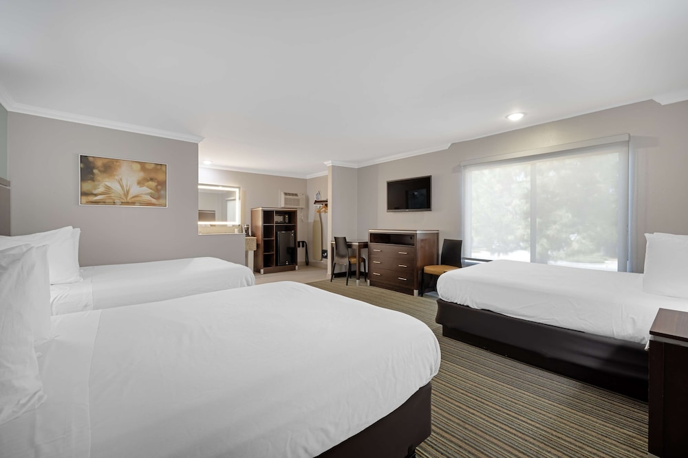 Standard Room, Multiple Beds, Non Smoking, Refrigerator & Microwave - Photo 3