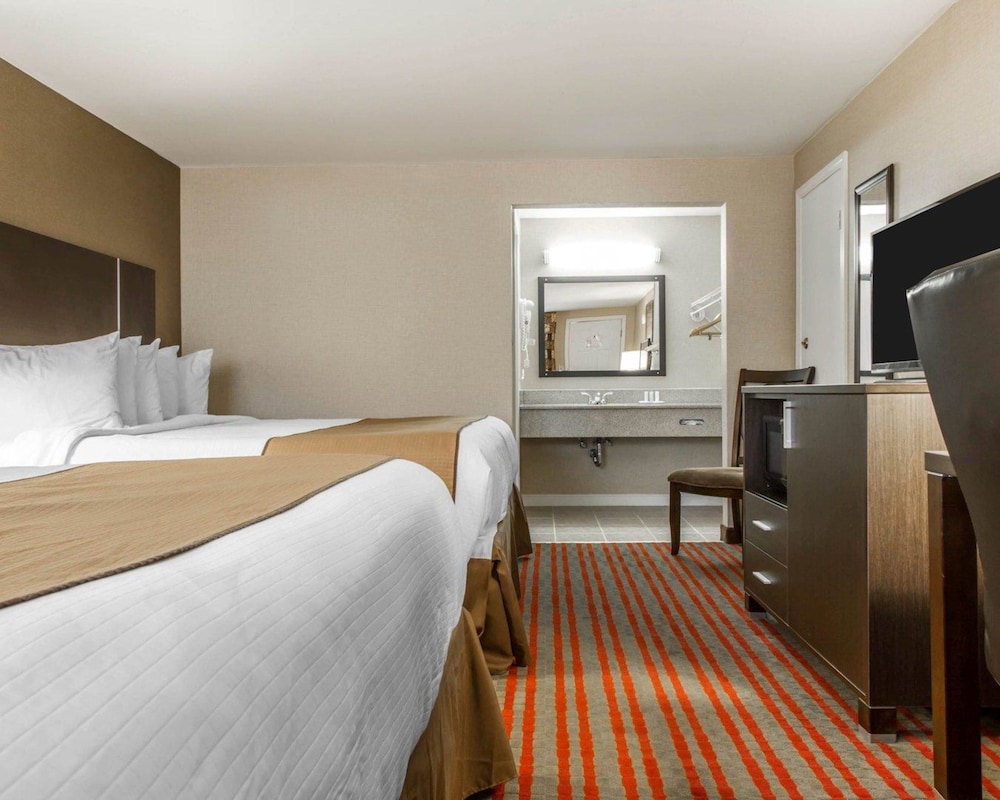 Standard Room, Multiple Beds, Non Smoking photo 1