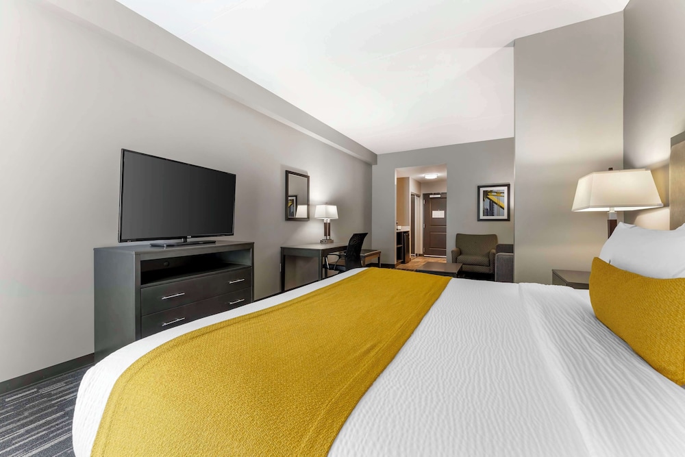 Suite, 1 King Bed, Non Smoking, Refrigerator & Microwave (Shower Only) photo 3