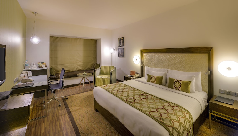 Deluxe Room - Photo 4