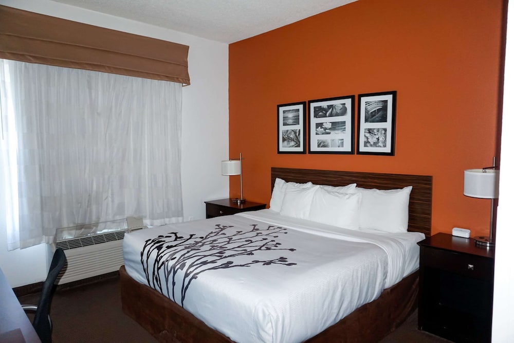 Standard Room, 1 King Bed, Non Smoking - Photo 3