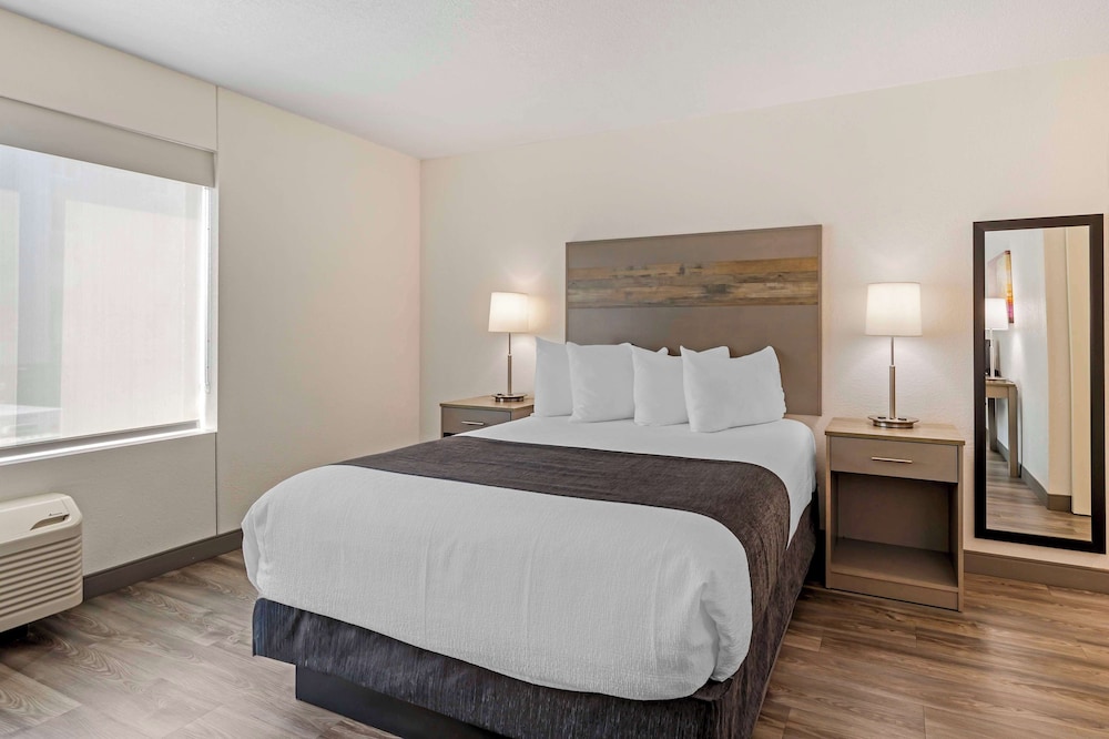 Standard Room, 1 Queen Bed, Accessible, Refrigerator & Microwave - Photo 3