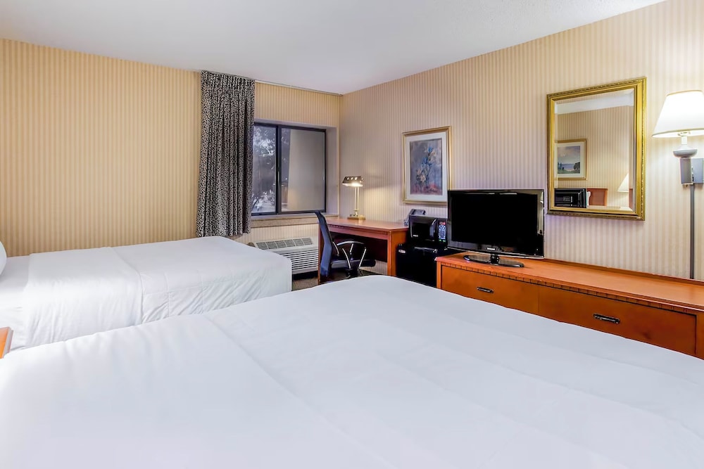 Standard Room, 2 Double Beds, Non Smoking photo 2