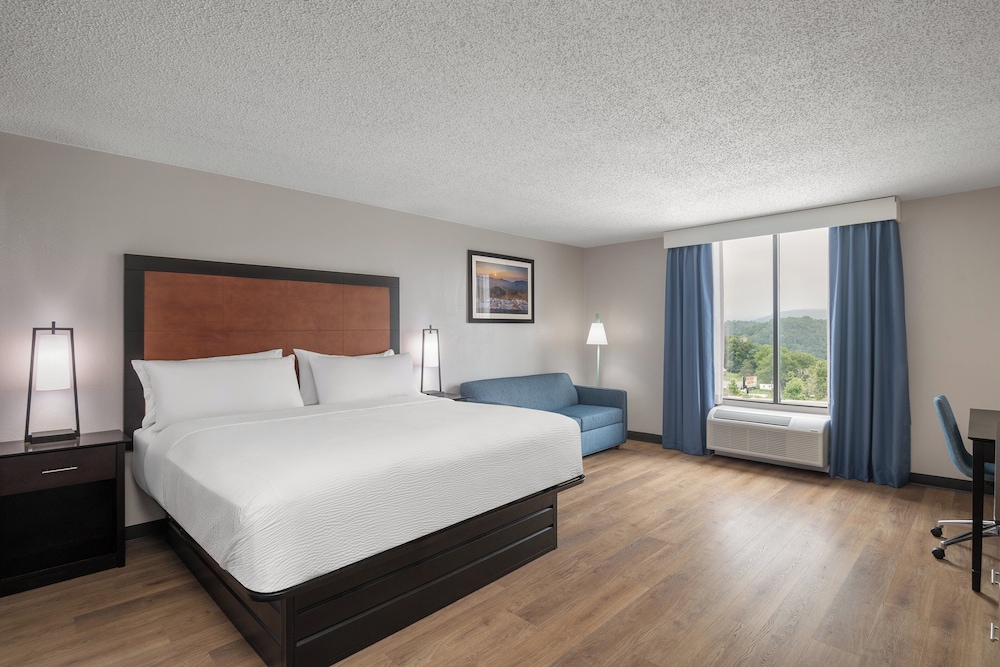 Suite, 1 King Bed - Photo 3