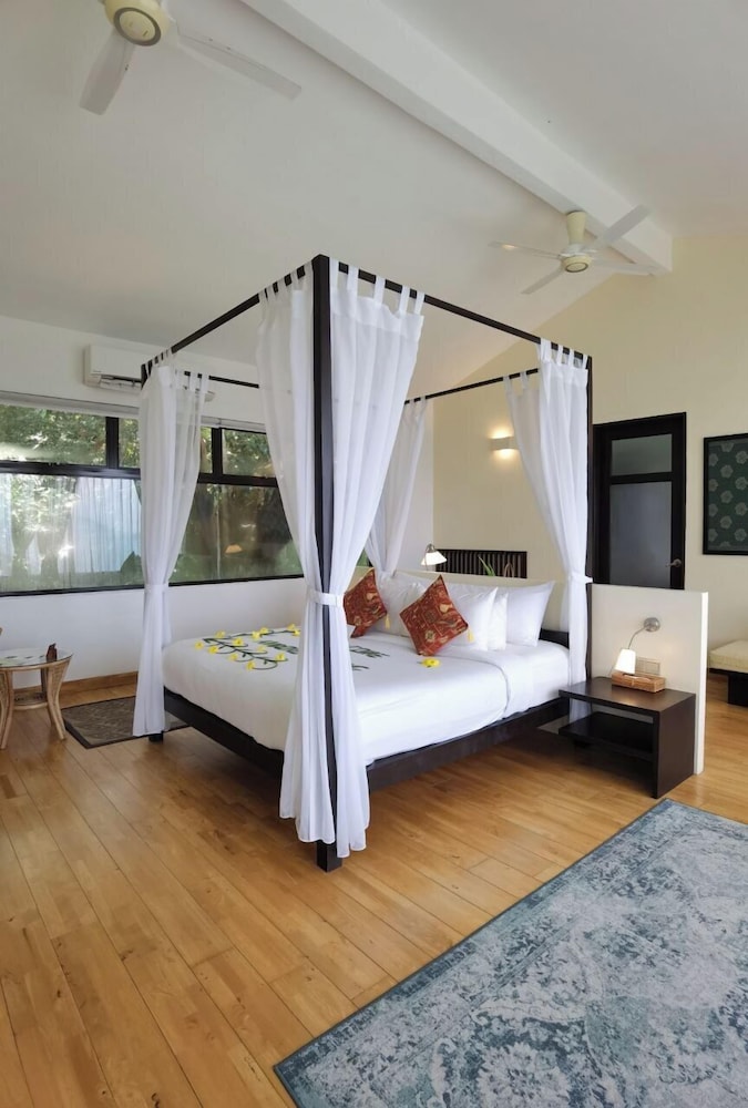 Canopy Suite - Photo 4