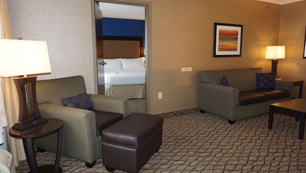Suite, 1 King Bed with Sofa bed, Accessible (Mobility) - Photo 1