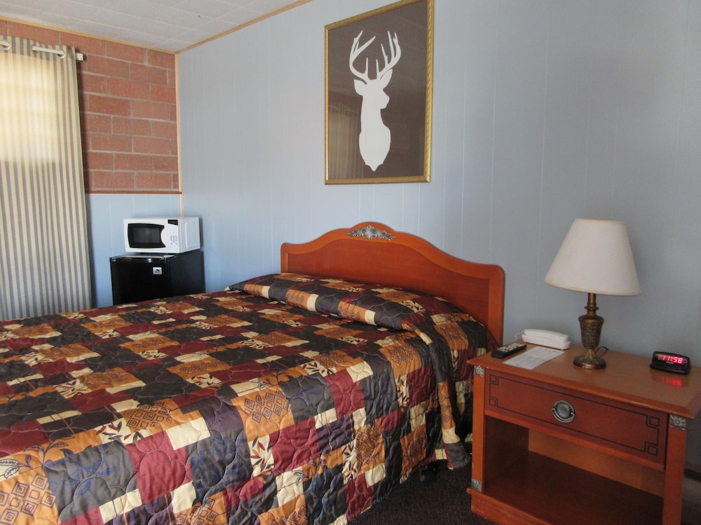 Room, 1 Queen Bed photo 1