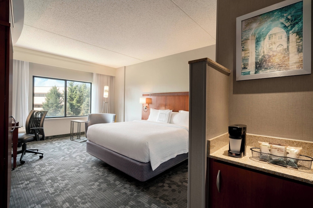 Room, 1 King Bed with Sofa bed