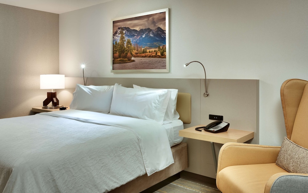 Executive Suite, 1 King Bed photo 3