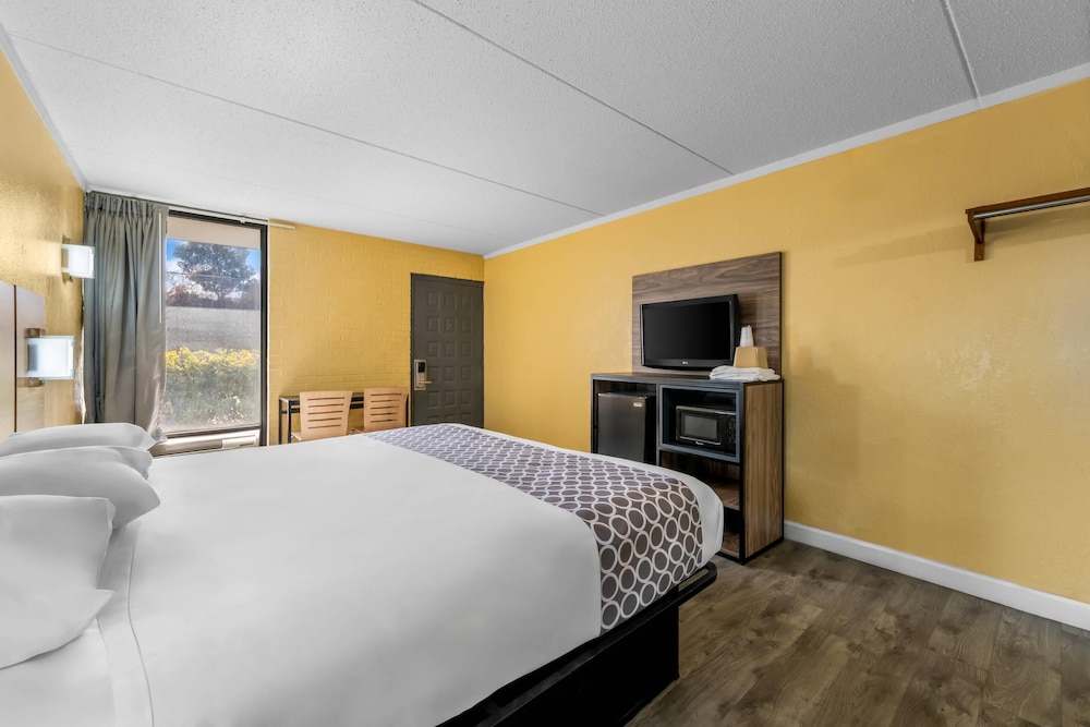 Room, 1 King Bed, Accessible, Non Smoking - Photo 5