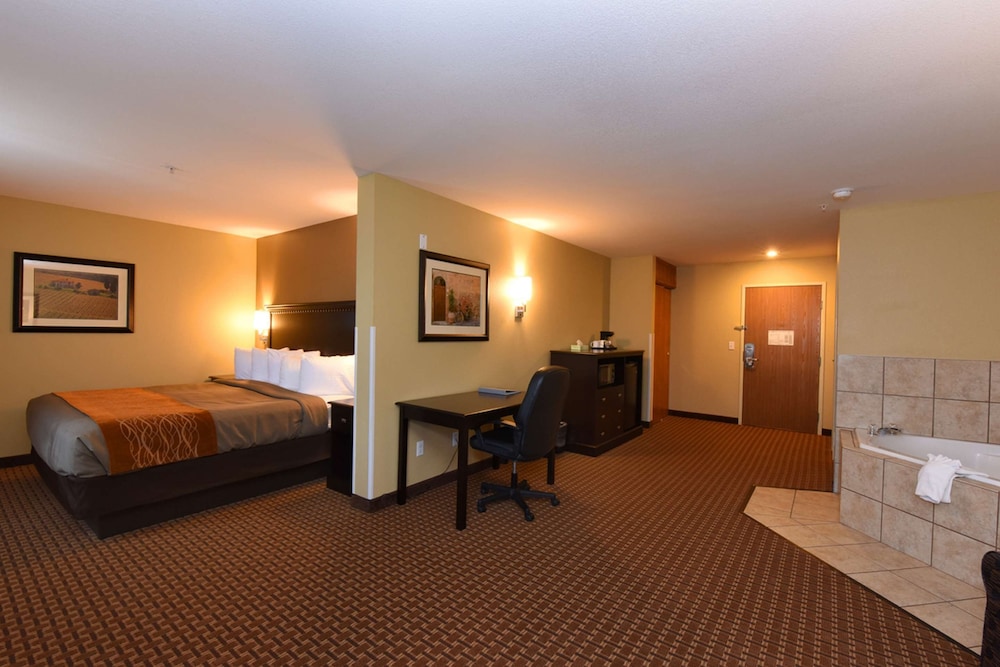 Suite, 1 King Bed, Non Smoking, Refrigerator & Microwave - Photo 3