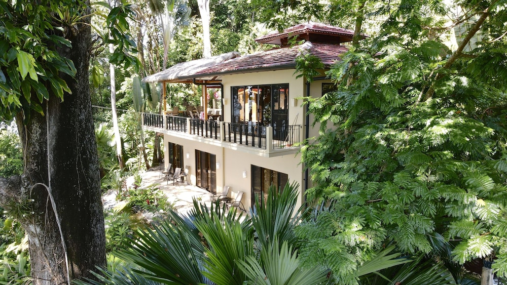 Deluxe House, 3 Bedrooms, Private Pool, Villa Gauguin