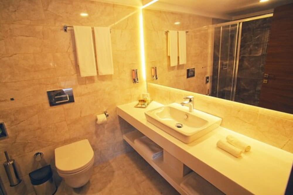 Deluxe Double or Twin Room photo 2