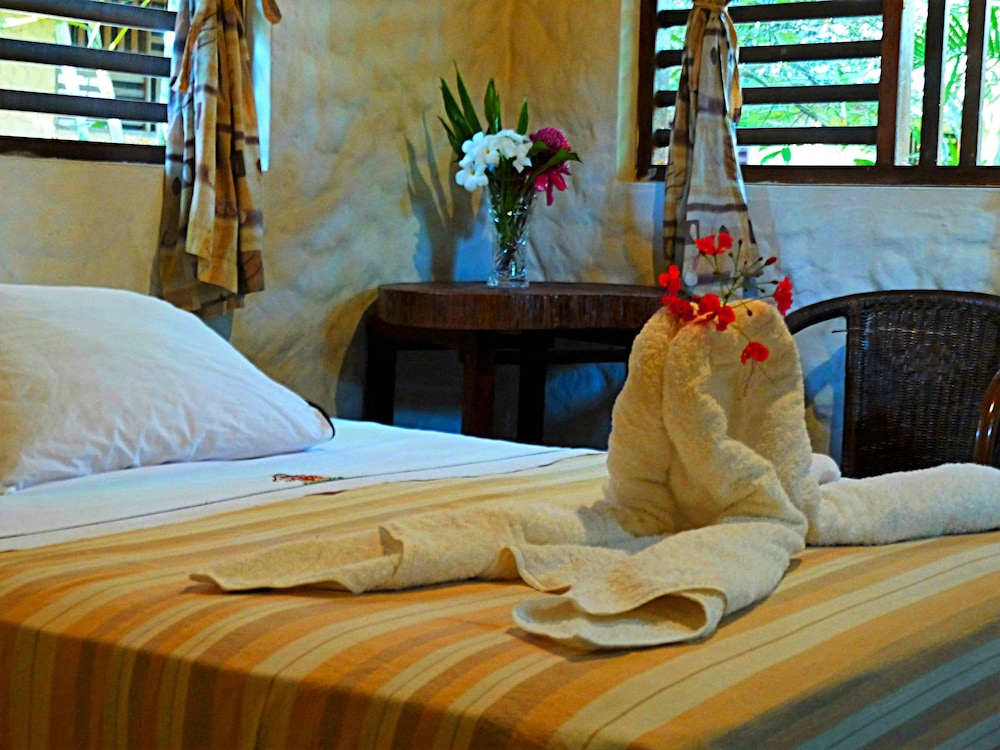Superior Double Room photo 1