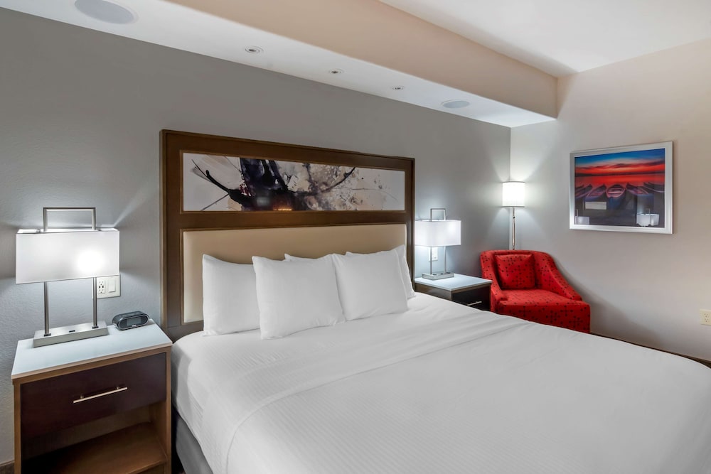 Standard Room, 1 King Bed, Accessible, Refrigerator & Microwave - Photo 1