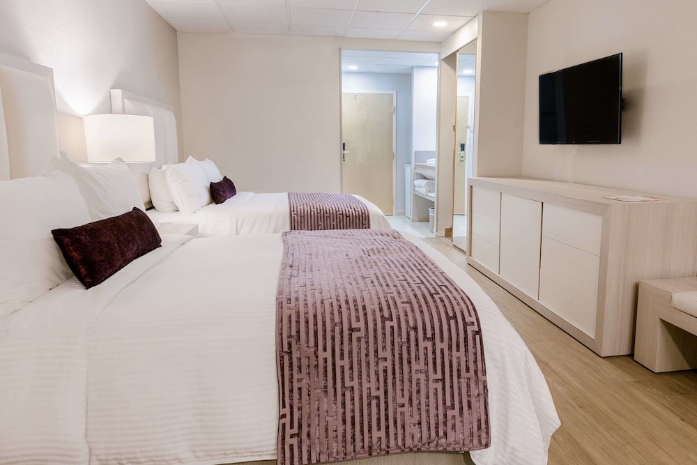 Executive Double Room - Photo 3
