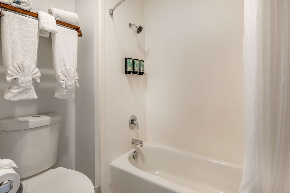 Standard Room, 1 King Bed, Accessible, Bathtub - Photo 5