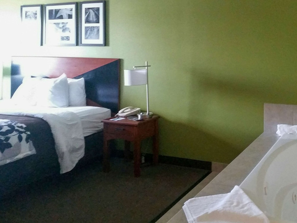 Suite, 1 King Bed with Sofa bed, Non Smoking - Photo 3