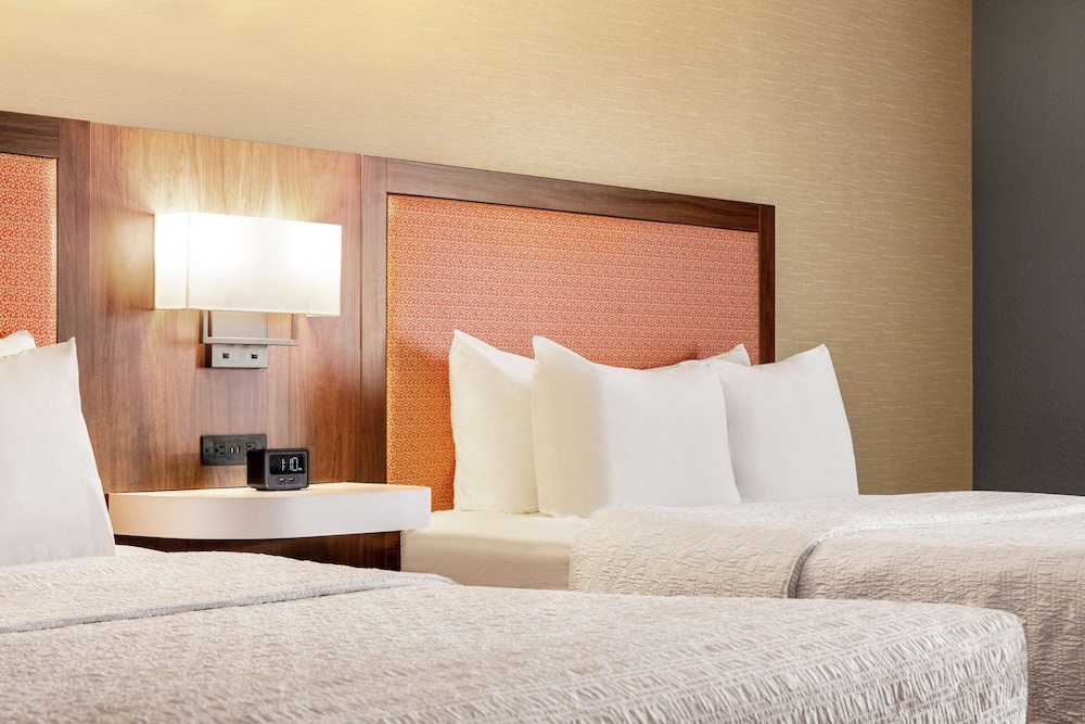 Two Queen Bed Studio Suite with Sofa Bed - Photo 3