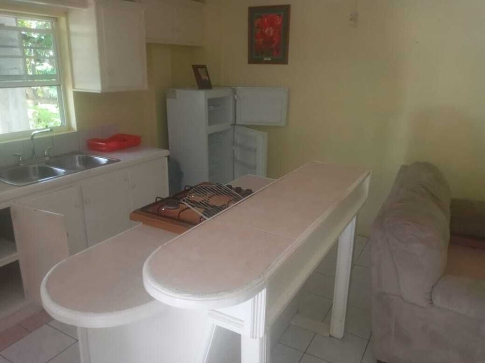 Basic Apartment photo 2