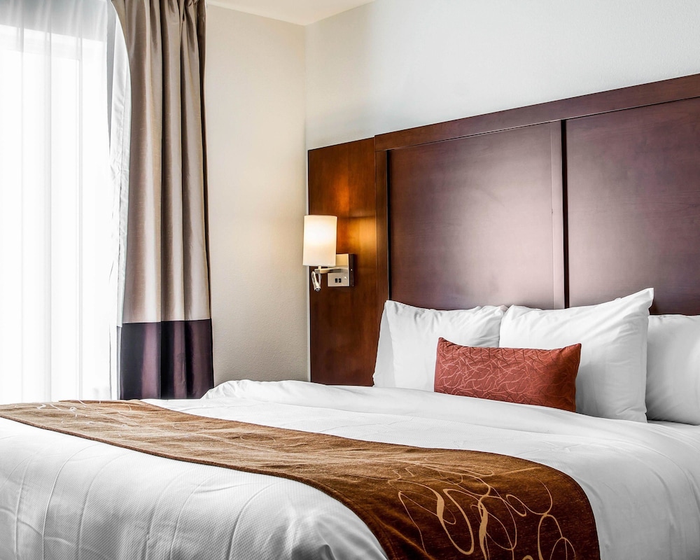 Suite, 1 King Bed with Sofa bed, Non Smoking photo 3