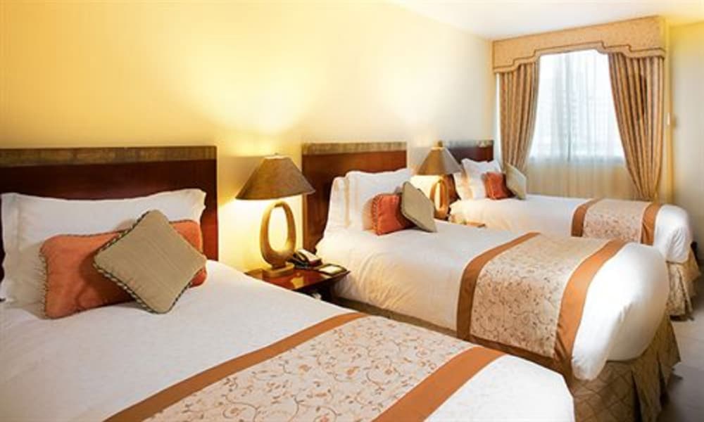 Triple Room photo 2