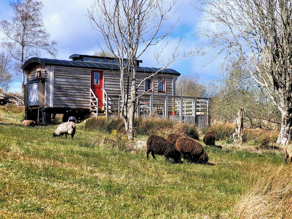 Cabin (Western Wagon) photo 1