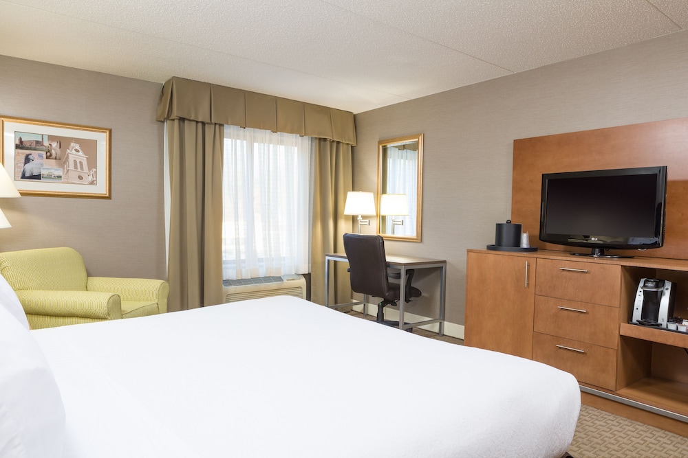 Standard Room, 1 King Bed, Accessible (Mobility, Accessible Tub) - Photo 4