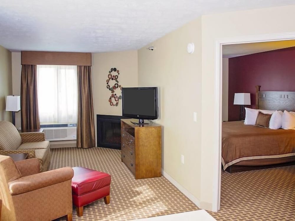 Suite, 1 Bedroom photo 2