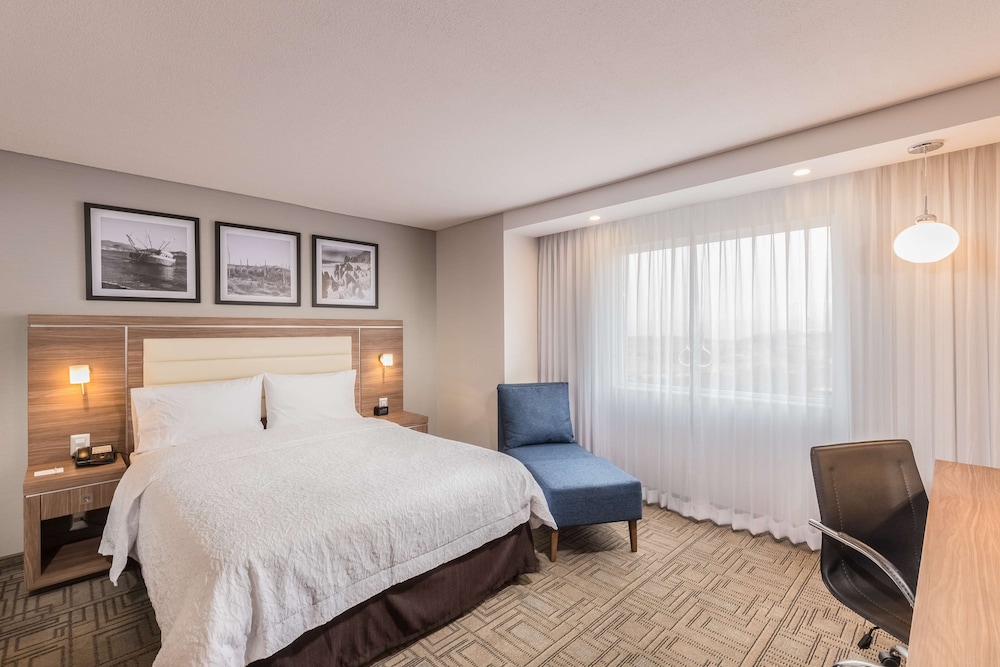 Room, 1 King Bed, Non Smoking (Mini Fridge)