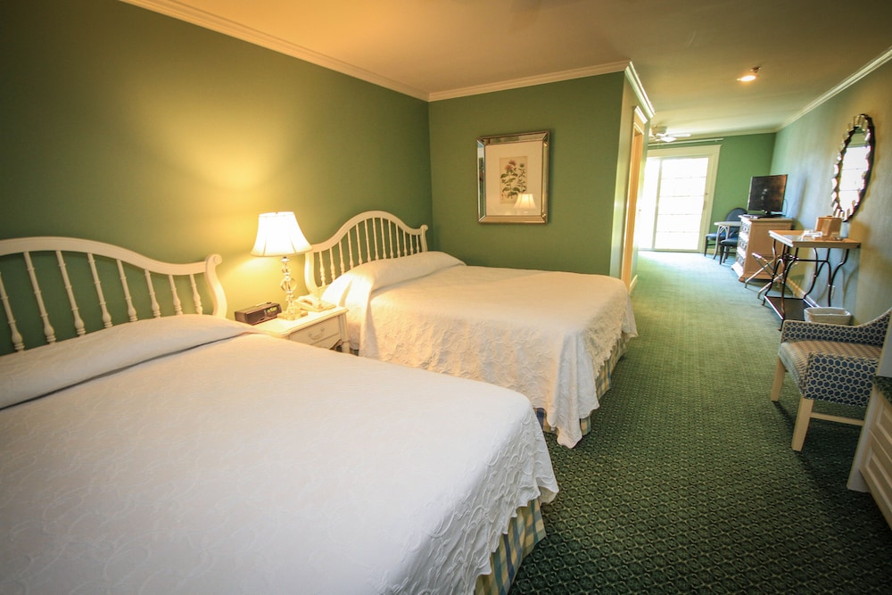 Room, Multiple Beds photo 3