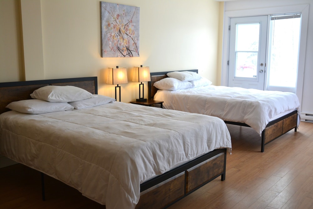 Comfort Studio Suite, 2 Queen Beds photo 2