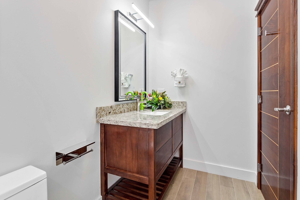 Superior Studio, 1 Bedroom photo 3
