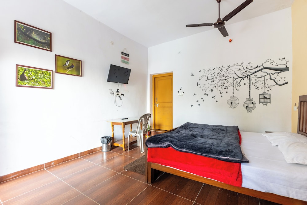 Premium Spacious Room with Terrace photo 1