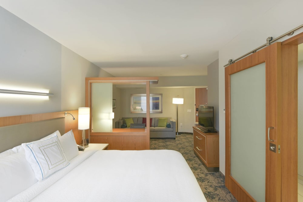 Suite, 1 King Bed with Sofa bed (Mobility Accessible, Roll-In Shower) photo 2