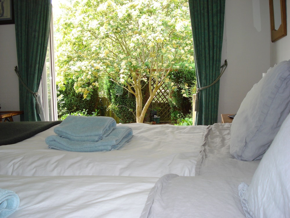 Panoramic Twin Room, 2 Twin Beds, Mountain View photo 3