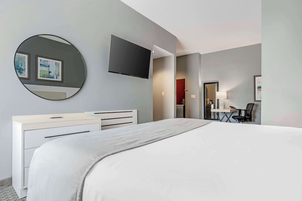 Suite, 1 King Bed, Non Smoking, Kitchenette (With Sofabed) photo 3