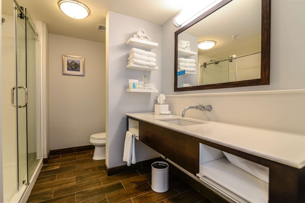 Room, 1 King Bed, Jetted Tub photo 3