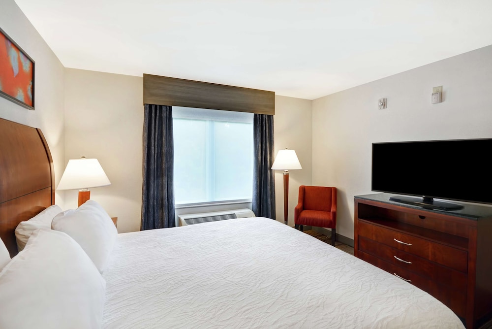 Suite, 1 King Bed, Accessible - Photo 3