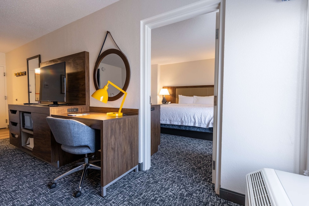 Suite, 1 King Bed photo 1