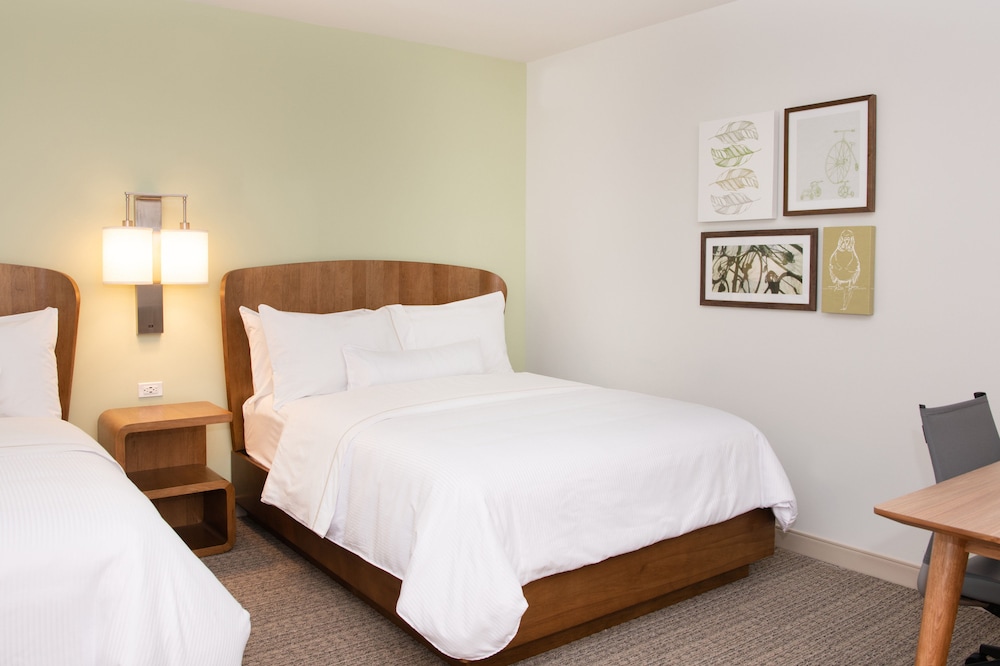 Studio Suite, Multiple Beds (Mobility Accessible, Roll-In Shower) - Photo 4